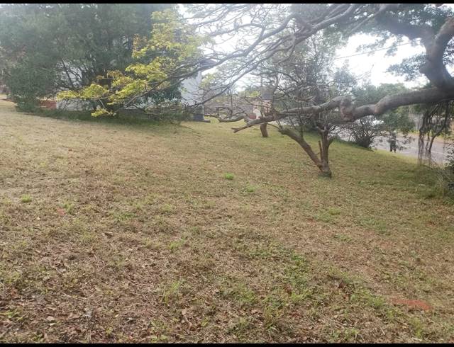 3 BEDROOM HOUSE FOR SALE IN BLUFF